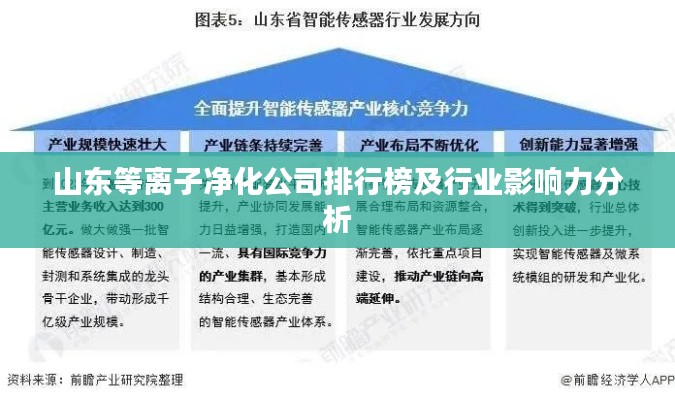 山東等離子凈化公司排行榜及行業(yè)影響力分析