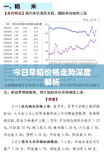 今日早稻價格走勢深度解析