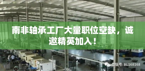 南非軸承工廠大量職位空缺，誠邀精英加入！