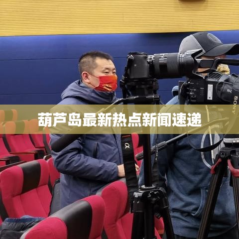 葫蘆島最新熱點新聞速遞