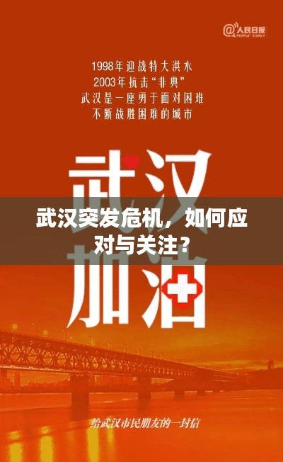 武漢突發(fā)危機，如何應對與關注？