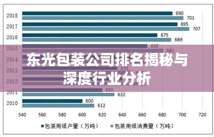 東光包裝公司排名揭秘與深度行業(yè)分析