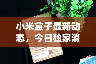 小米盒子最新動(dòng)態(tài)，今日獨(dú)家消息揭秘！