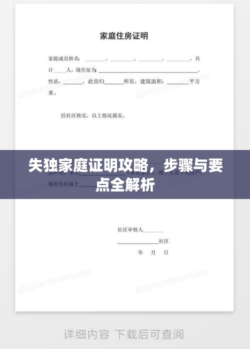 失獨(dú)家庭證明攻略，步驟與要點(diǎn)全解析