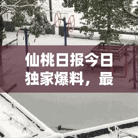 仙桃日報(bào)今日獨(dú)家爆料，最新消息一網(wǎng)打盡！
