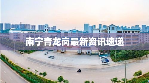 南寧青龍崗最新資訊速遞