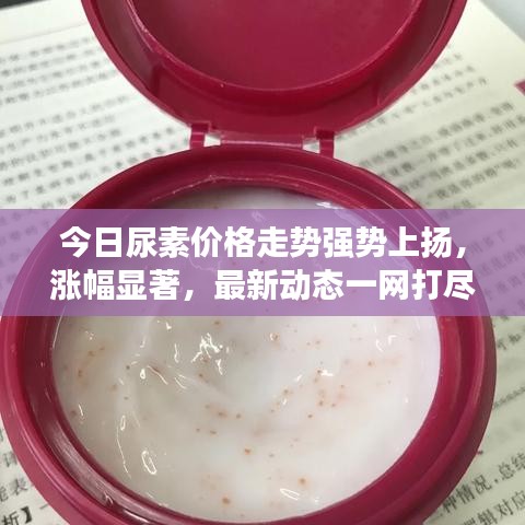按部就班