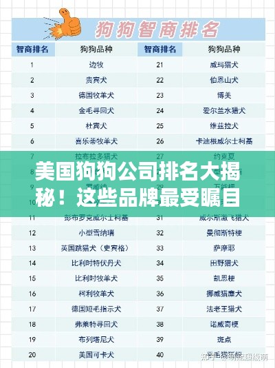 美國狗狗公司排名大揭秘！這些品牌最受矚目！