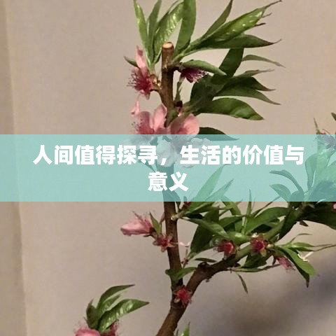 人間值得探尋，生活的價(jià)值與意義