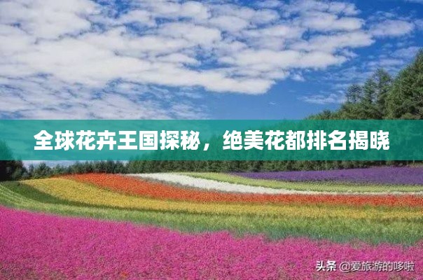 全球花卉王國(guó)探秘，絕美花都排名揭曉