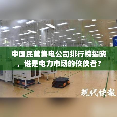 中國民營售電公司排行榜揭曉，誰是電力市場的佼佼者？