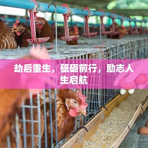 劫后重生，砥礪前行，勵志人生啟航