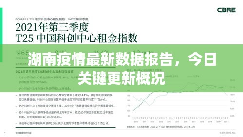 湖南疫情最新數(shù)據(jù)報告，今日關(guān)鍵更新概況