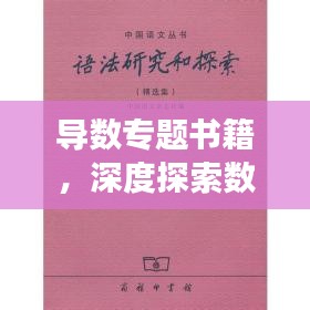 導(dǎo)數(shù)專題書籍，深度探索數(shù)學(xué)之美的奧秘之旅