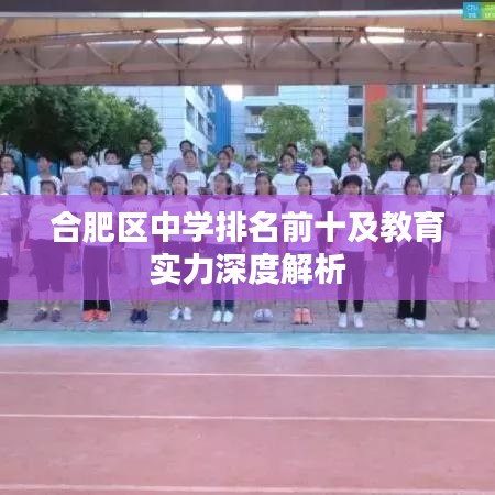合肥區(qū)中學(xué)排名前十及教育實(shí)力深度解析