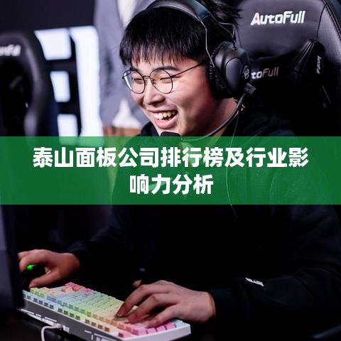 泰山面板公司排行榜及行業(yè)影響力分析