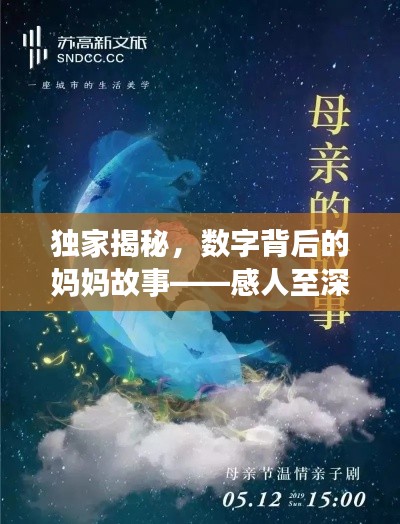 獨家揭秘，數(shù)字背后的媽媽故事——感人至深的母愛之旅