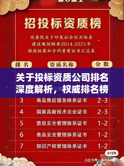關(guān)于投標資質(zhì)公司排名深度解析，權(quán)威排名榜單揭曉