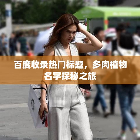 百度收錄熱門標(biāo)題，多肉植物名字探秘之旅