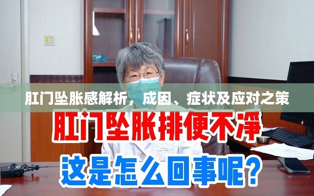 肛門墜脹感解析，成因、癥狀及應(yīng)對(duì)之策