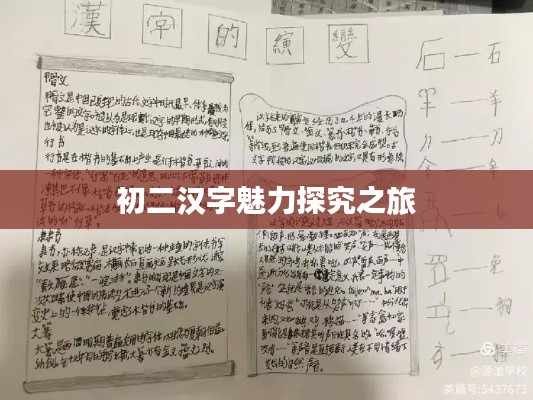 初二漢字魅力探究之旅