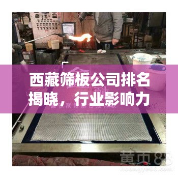 西藏篩板公司排名揭曉，行業(yè)影響力不容小覷