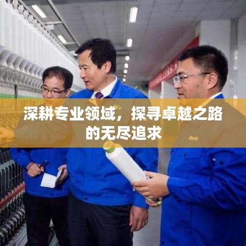 深耕專業(yè)領(lǐng)域，探尋卓越之路的無盡追求