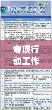 專項(xiàng)行動工作機(jī)制落實(shí)實(shí)踐，打造高效執(zhí)行體系