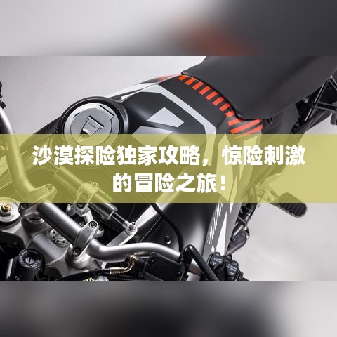 沙漠探險(xiǎn)獨(dú)家攻略，驚險(xiǎn)刺激的冒險(xiǎn)之旅！
