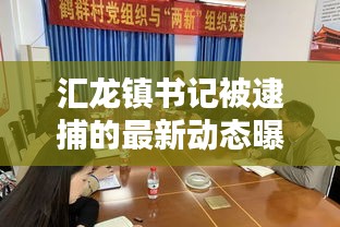 匯龍鎮(zhèn)書記被逮捕的最新動(dòng)態(tài)曝光