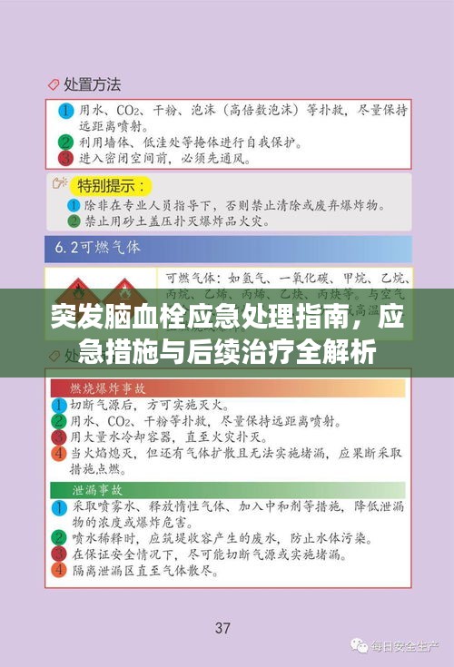 突發(fā)腦血栓應(yīng)急處理指南，應(yīng)急措施與后續(xù)治療全解析
