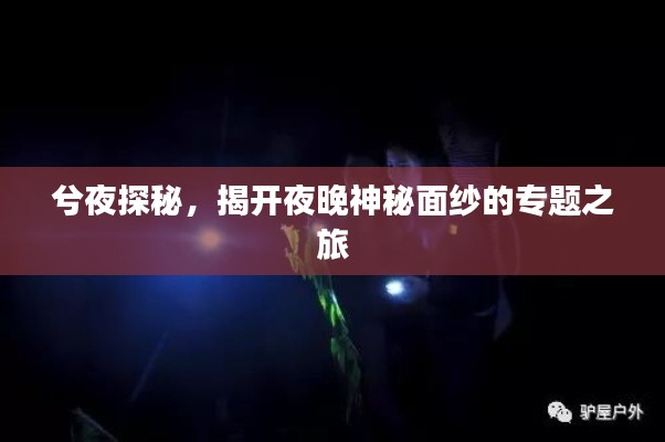 兮夜探秘，揭開夜晚神秘面紗的專題之旅