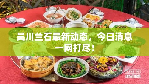 吳川蘭石最新動態(tài)，今日消息一網(wǎng)打盡！