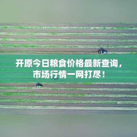 開原今日糧食價格最新查詢，市場行情一網(wǎng)打盡！