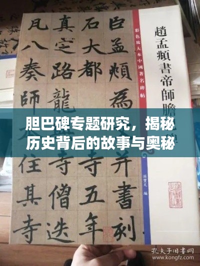 膽巴碑專題研究，揭秘歷史背后的故事與奧秘