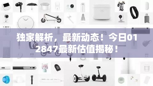 獨(dú)家解析，最新動態(tài)！今日012847最新估值揭秘！