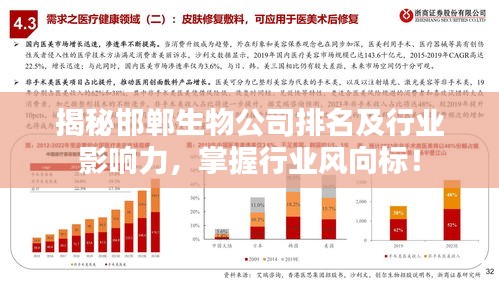 揭秘邯鄲生物公司排名及行業(yè)影響力，掌握行業(yè)風(fēng)向標(biāo)！