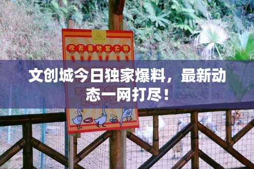 文創(chuàng)城今日獨(dú)家爆料，最新動態(tài)一網(wǎng)打盡！