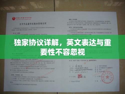 獨家協(xié)議詳解，英文表達與重要性不容忽視