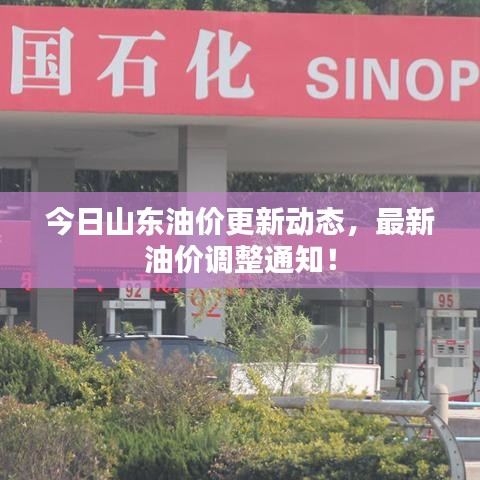 今日山東油價更新動態(tài)，最新油價調整通知！