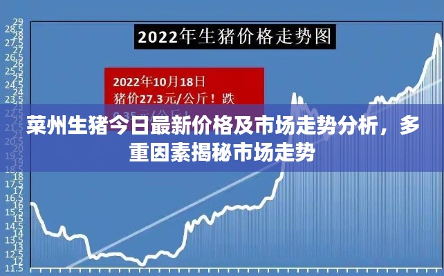 菜州生豬今日最新價格及市場走勢分析，多重因素揭秘市場走勢