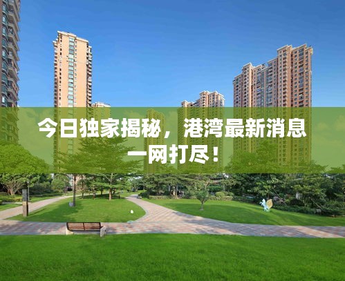 今日獨家揭秘，港灣最新消息一網(wǎng)打盡！