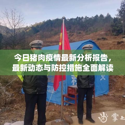 今日豬肉疫情最新分析報告，最新動態(tài)與防控措施全面解讀