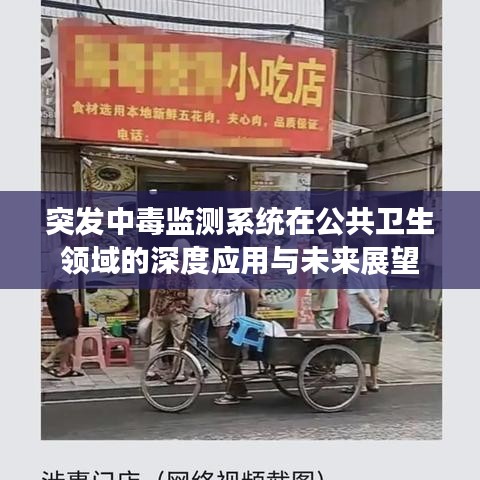 突發(fā)中毒監(jiān)測系統(tǒng)在公共衛(wèi)生領域的深度應用與未來展望