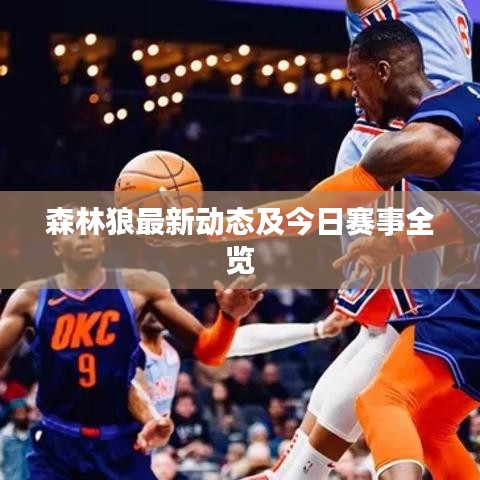 森林狼最新動態(tài)及今日賽事全覽