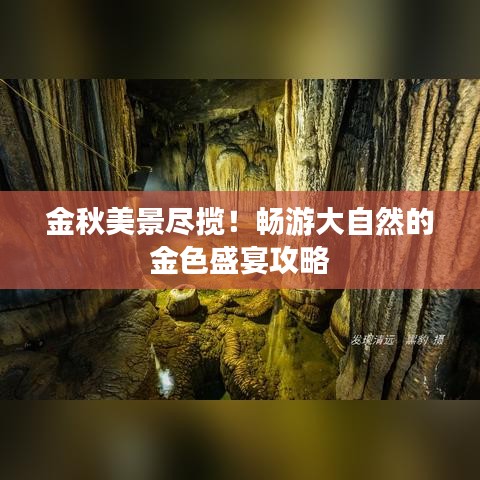 金秋美景盡攬！暢游大自然的金色盛宴攻略