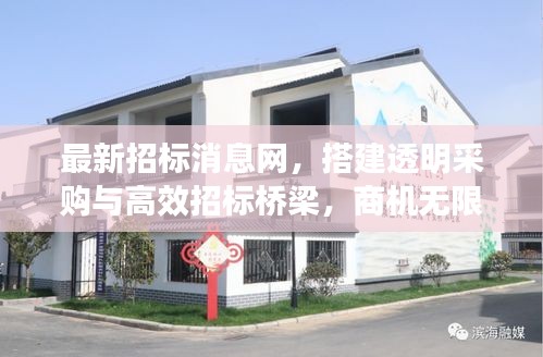 最新招標(biāo)消息網(wǎng)，搭建透明采購(gòu)與高效招標(biāo)橋梁，商機(jī)無(wú)限！