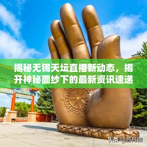 揭秘?zé)o錫天壇直播新動態(tài)，揭開神秘面紗下的最新資訊速遞
