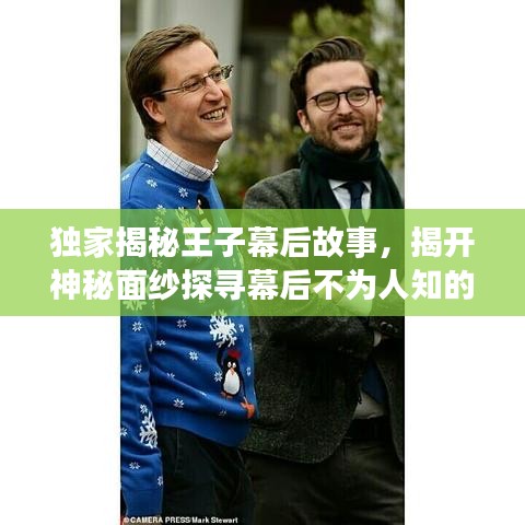 獨(dú)家揭秘王子幕后故事，揭開神秘面紗探尋幕后不為人知的秘密