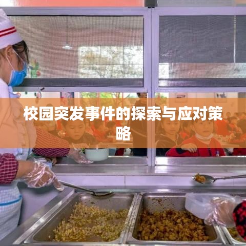 校園突發(fā)事件的探索與應(yīng)對策略